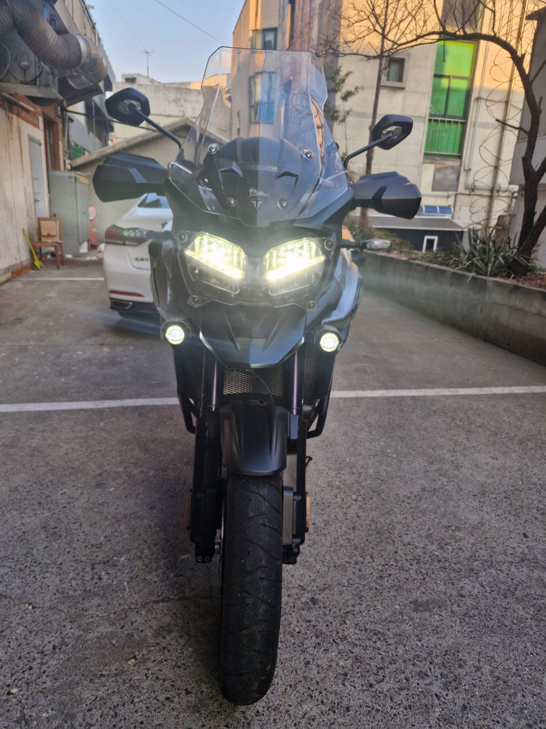 트라이엄프 타이거 1200 랠리 익스플로어 main