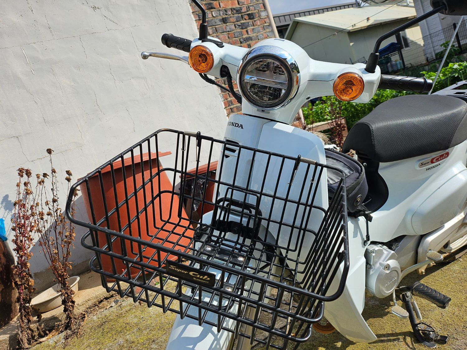 혼다 슈퍼 커브 110 main