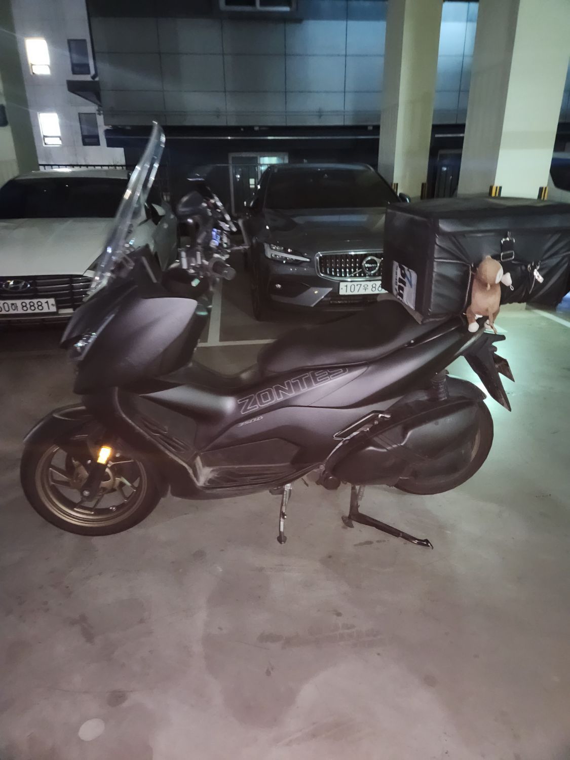 존테스 350 D main