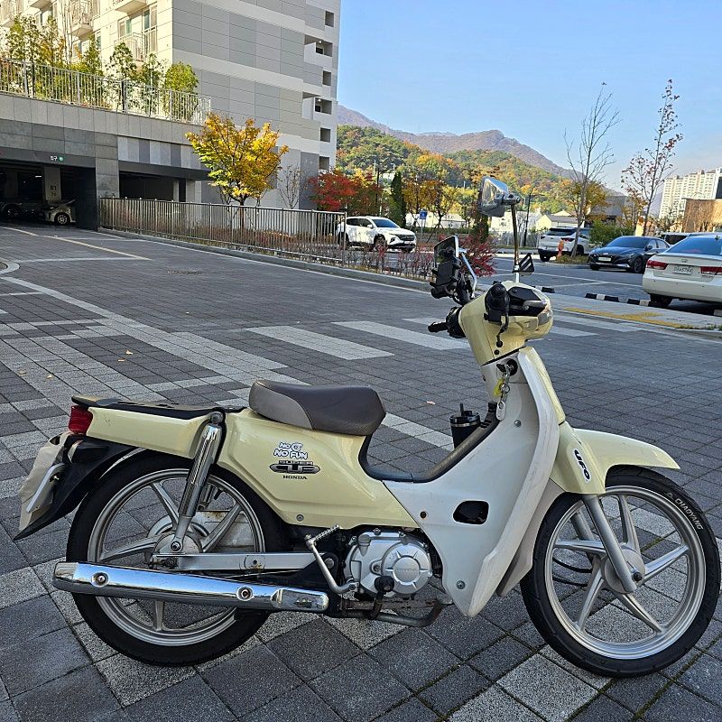 혼다 슈퍼 커브 110 thumb 2