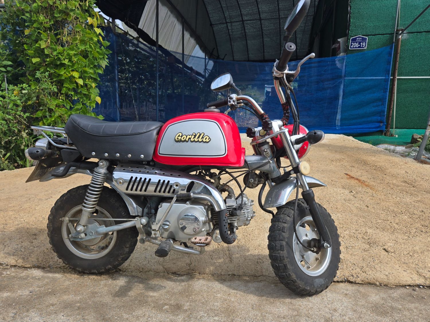 혼다 몽키 50 main