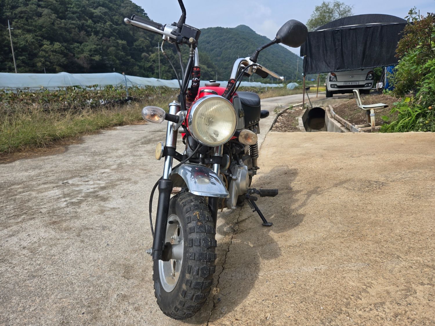 혼다 몽키 50 more