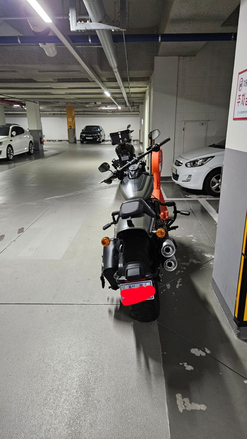 할리데이비슨 팻밥 114 more