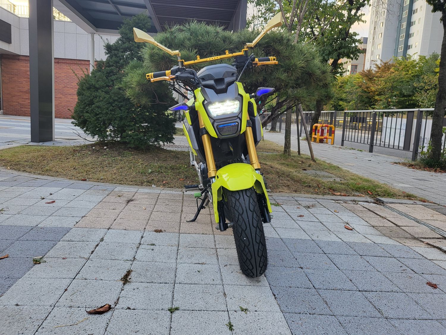 혼다 MSX 125 SF thumb 2