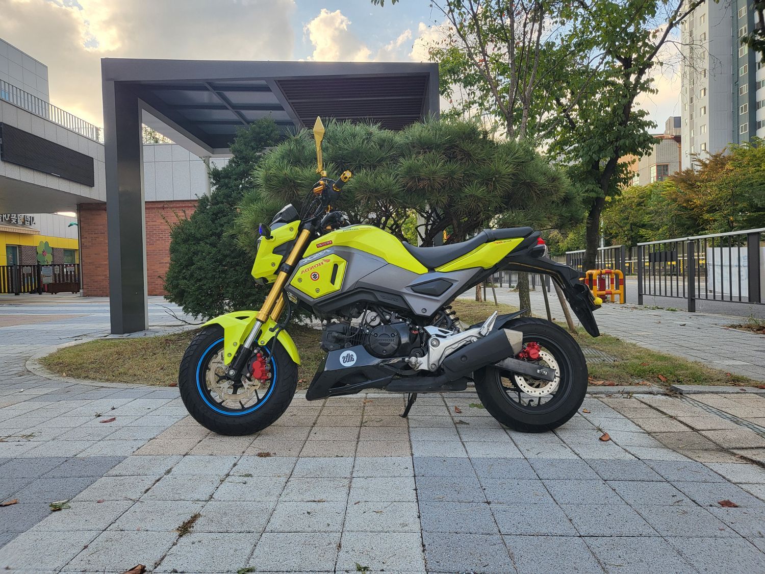 혼다 MSX 125 SF main