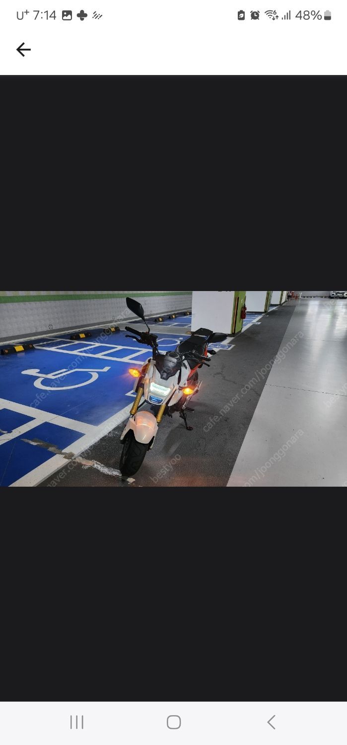 혼다 MSX 125 thumb 2