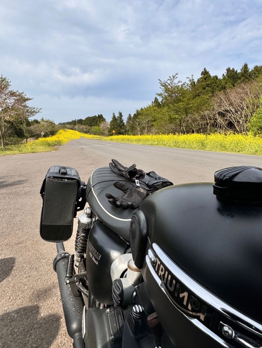 트라이엄프 본네빌 T120 블랙 more