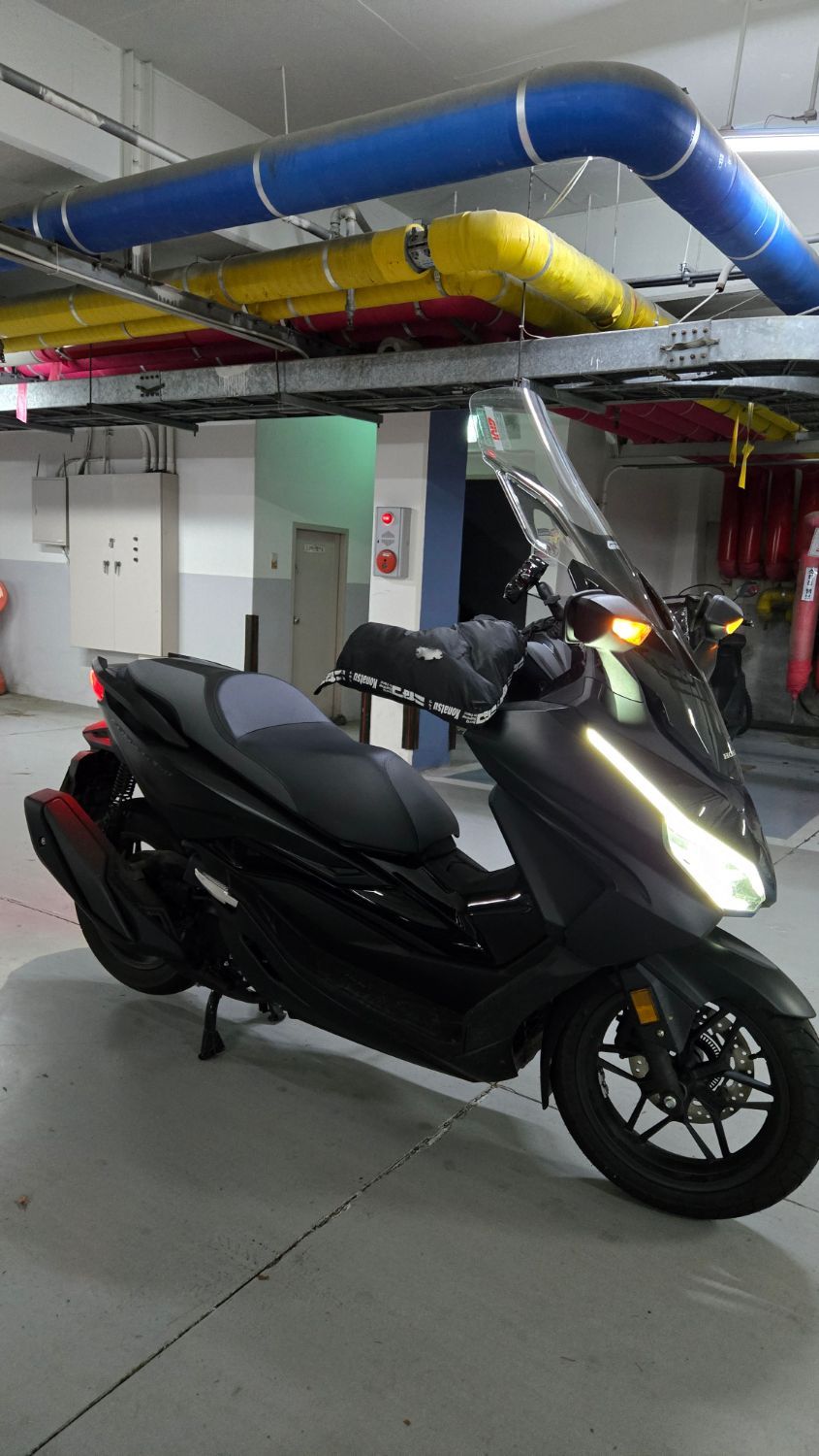 혼다 포르자 350 more