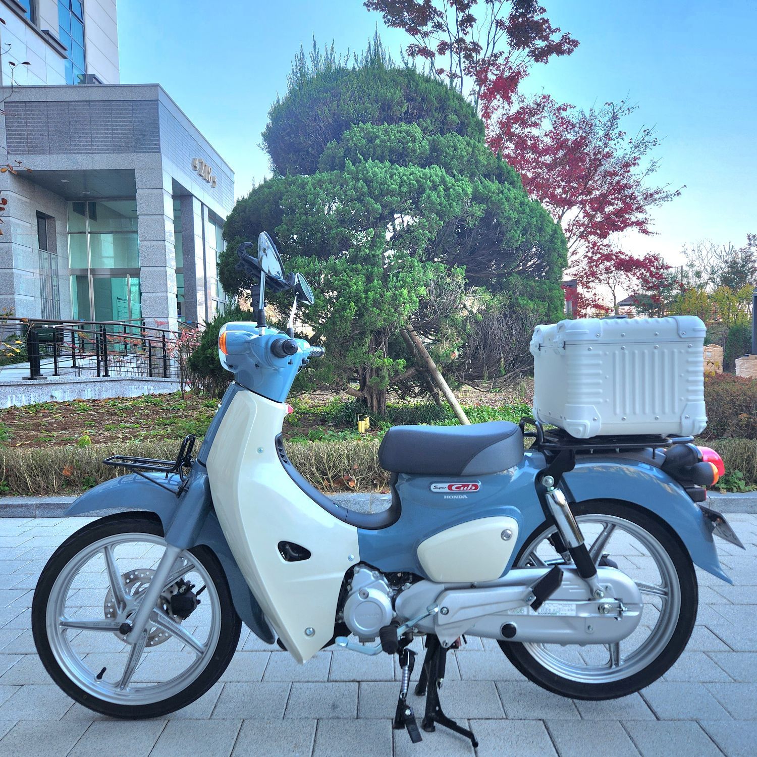 혼다 슈퍼 커브 110 more