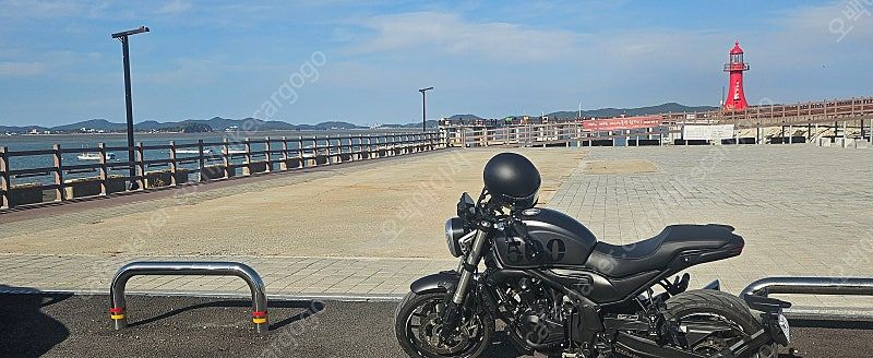 보그 500AC thumb 2