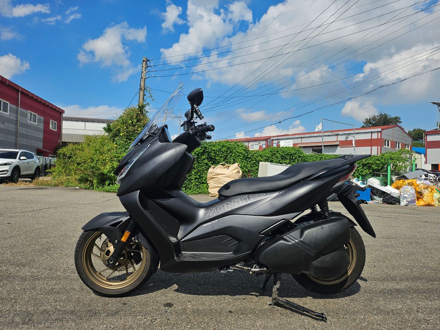 존테스 350 D more