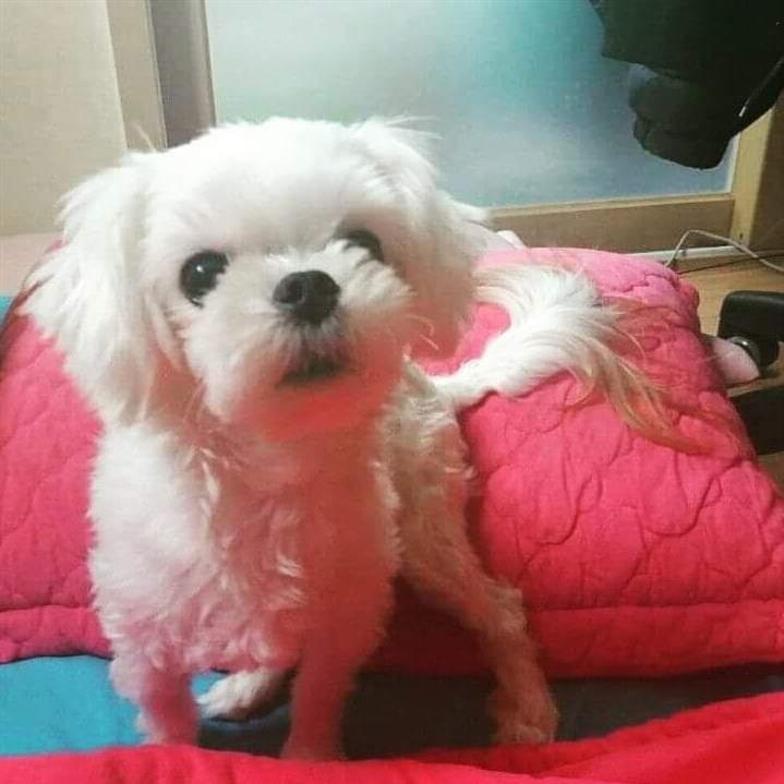 프로필이미지