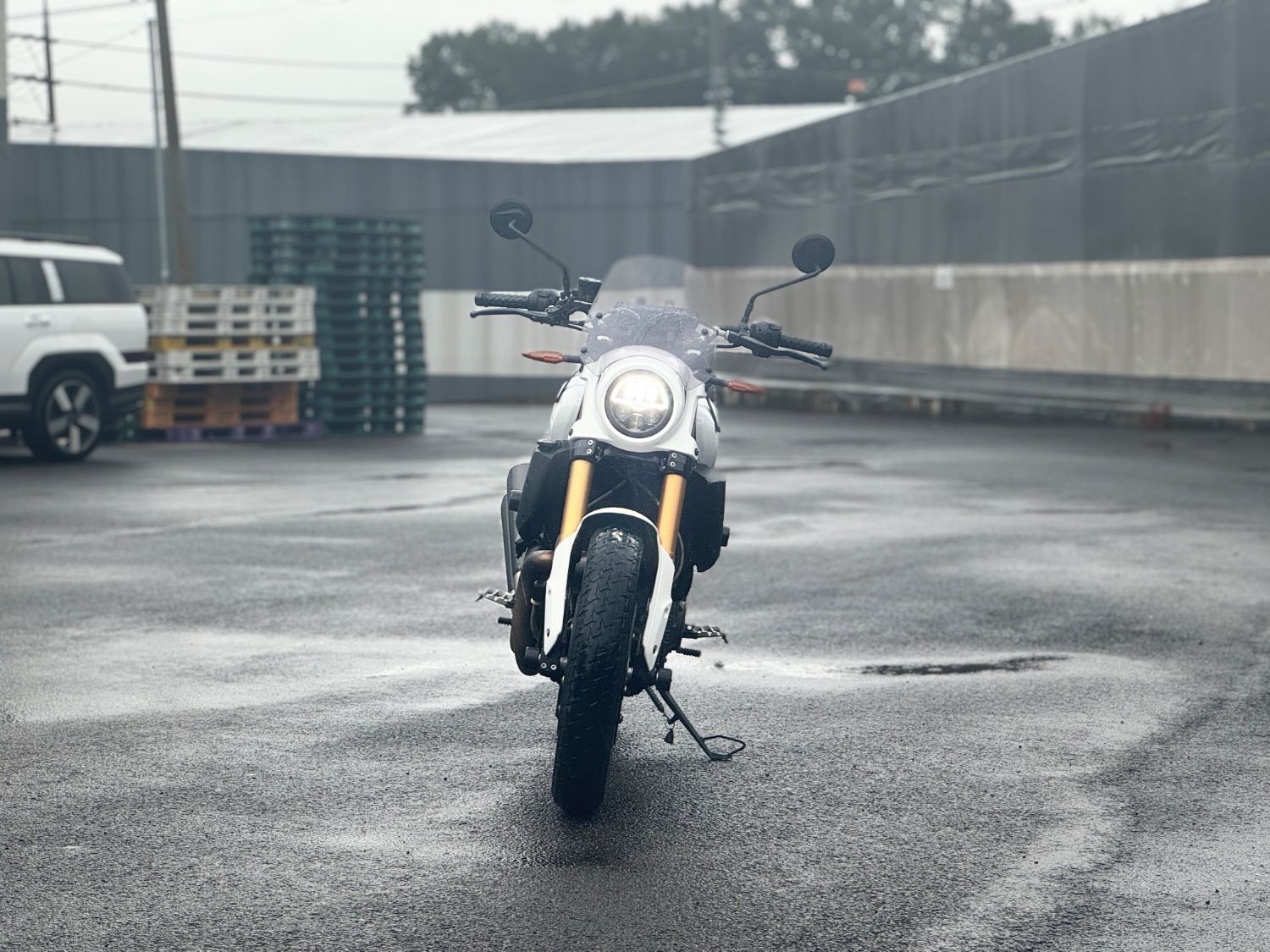 인디언모터사이클 FTR 1200 S 2019 화이트 사진 3