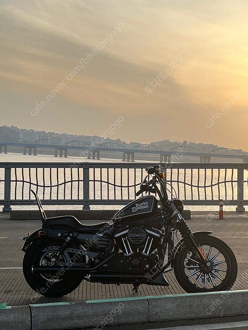 할리데이비슨 아이언 883 more