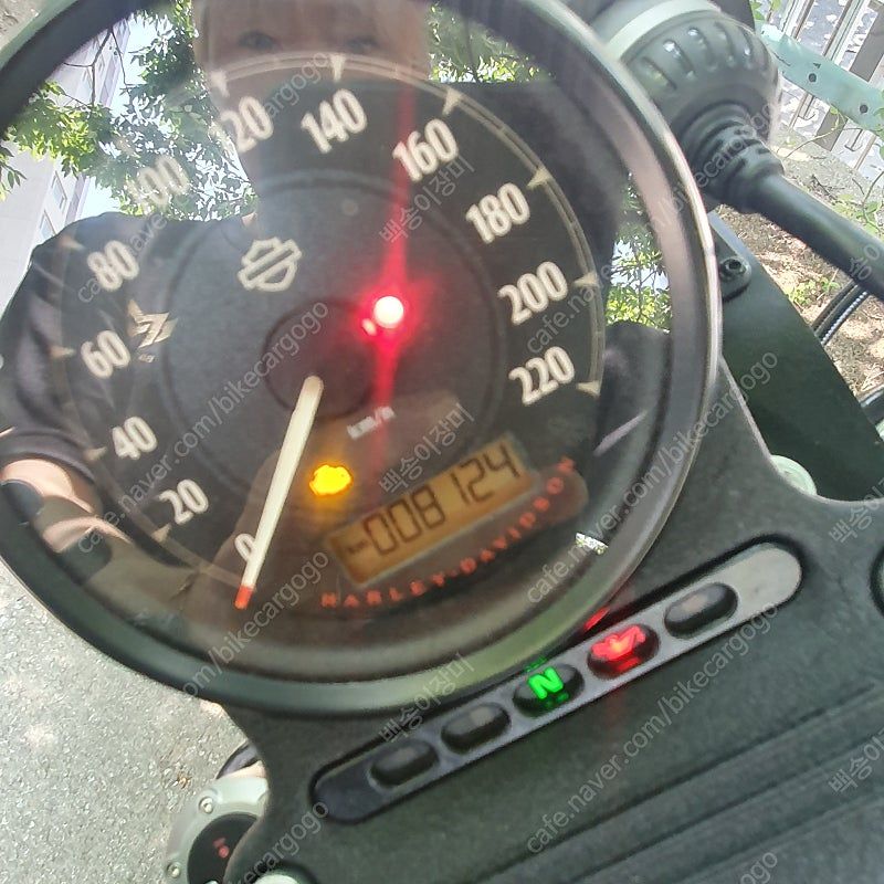 할리데이비슨 아이언 883 2019 블랙 사진 5