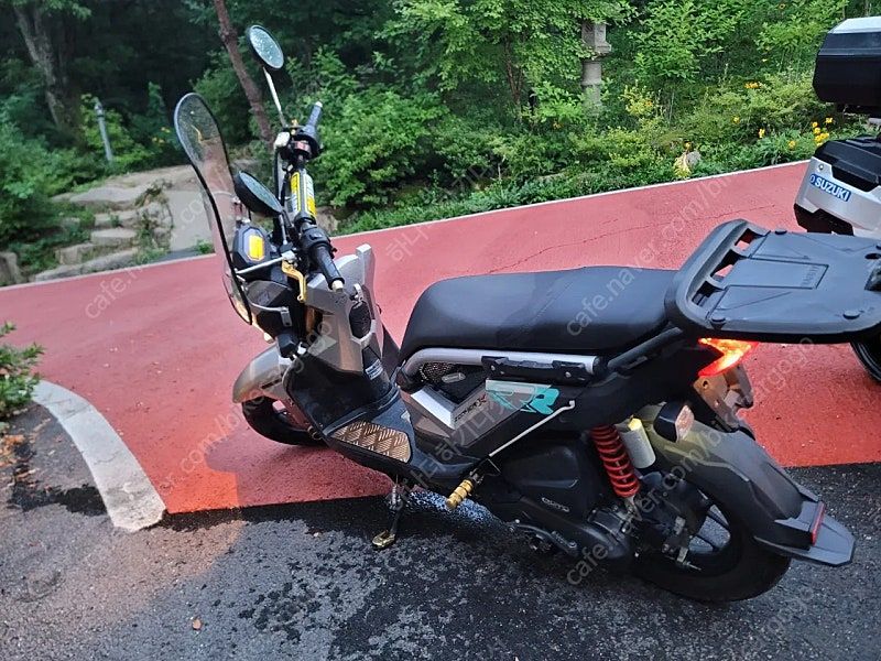 혼다 줌머 X more