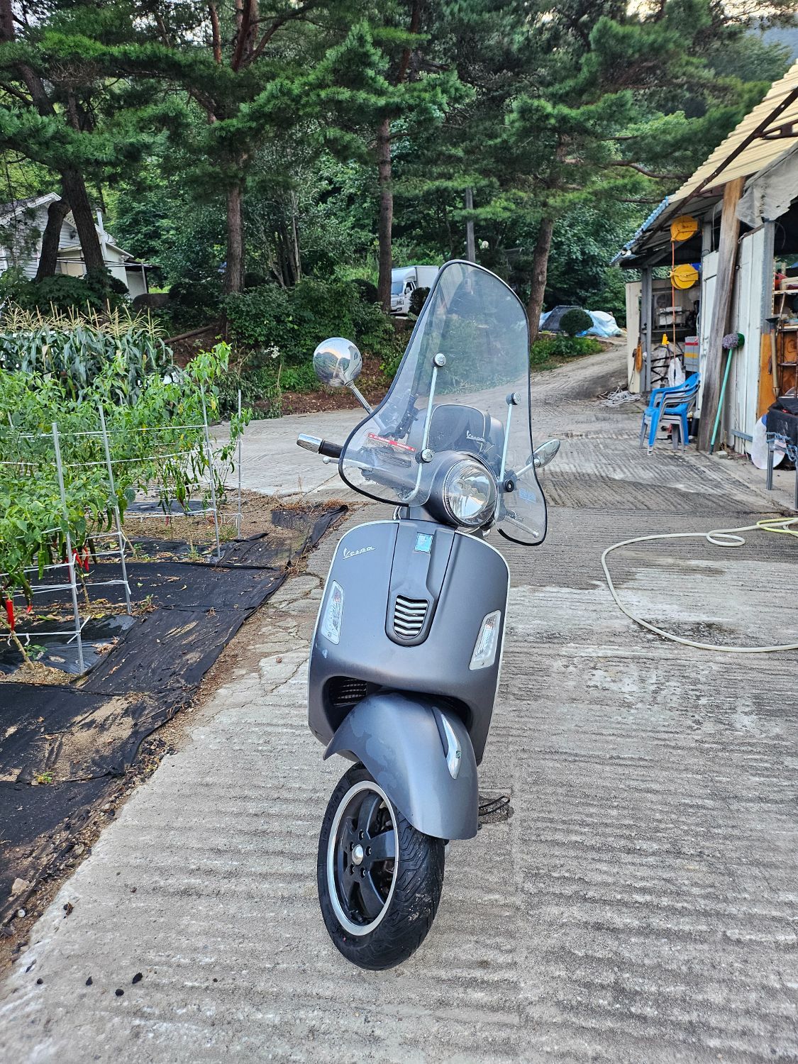 베스파 GTS 300 more