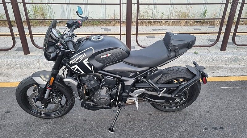 트라이엄프 트라이던트 660 more