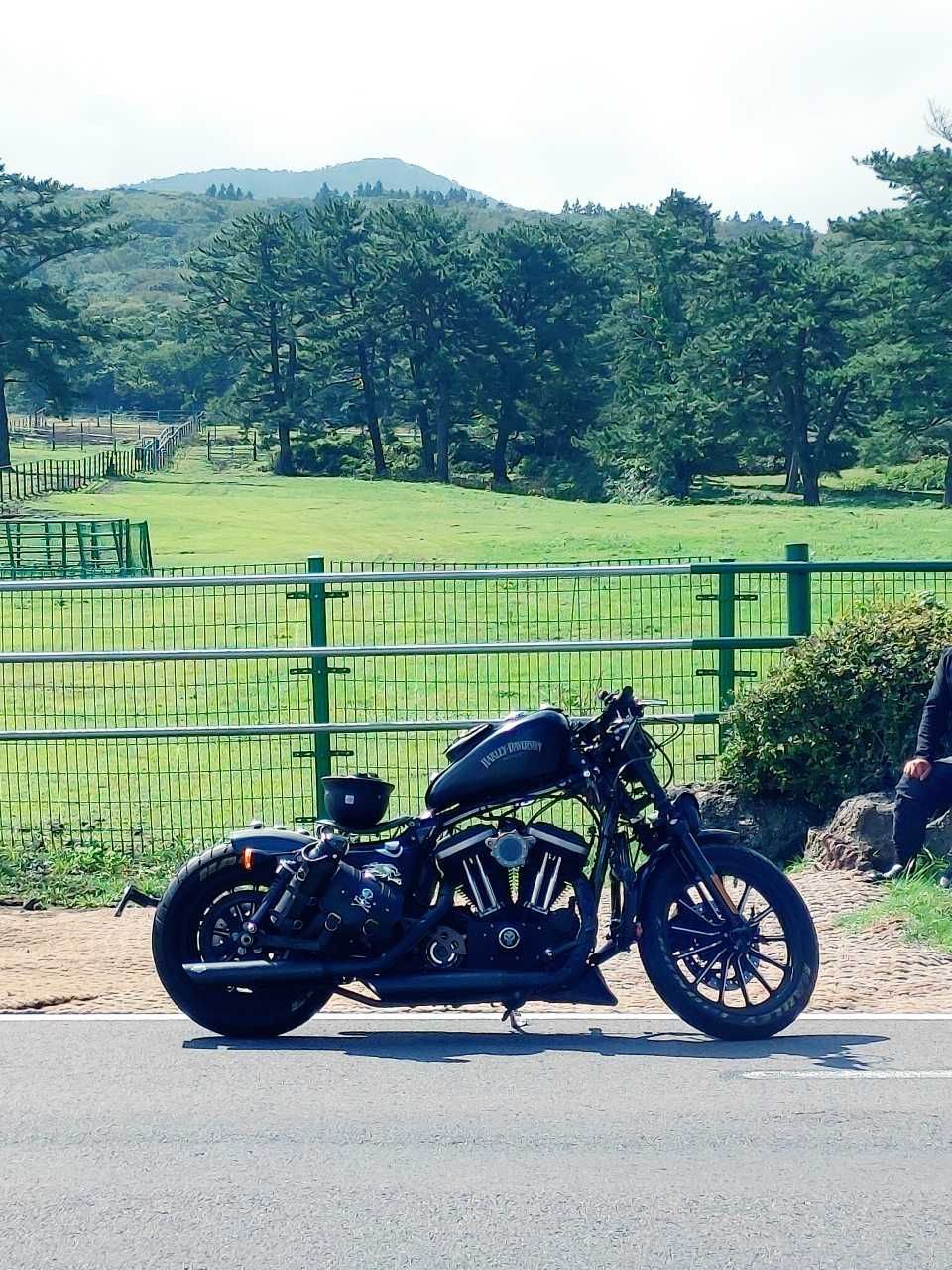 할리데이비슨 아이언 883 thumb 2