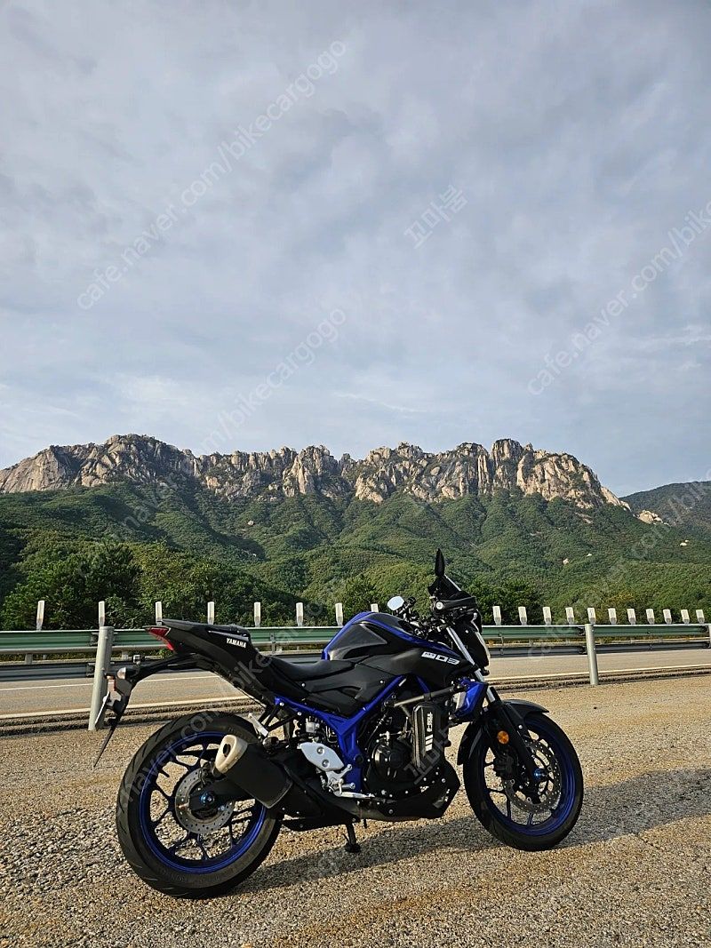 야마하 MT 03 main