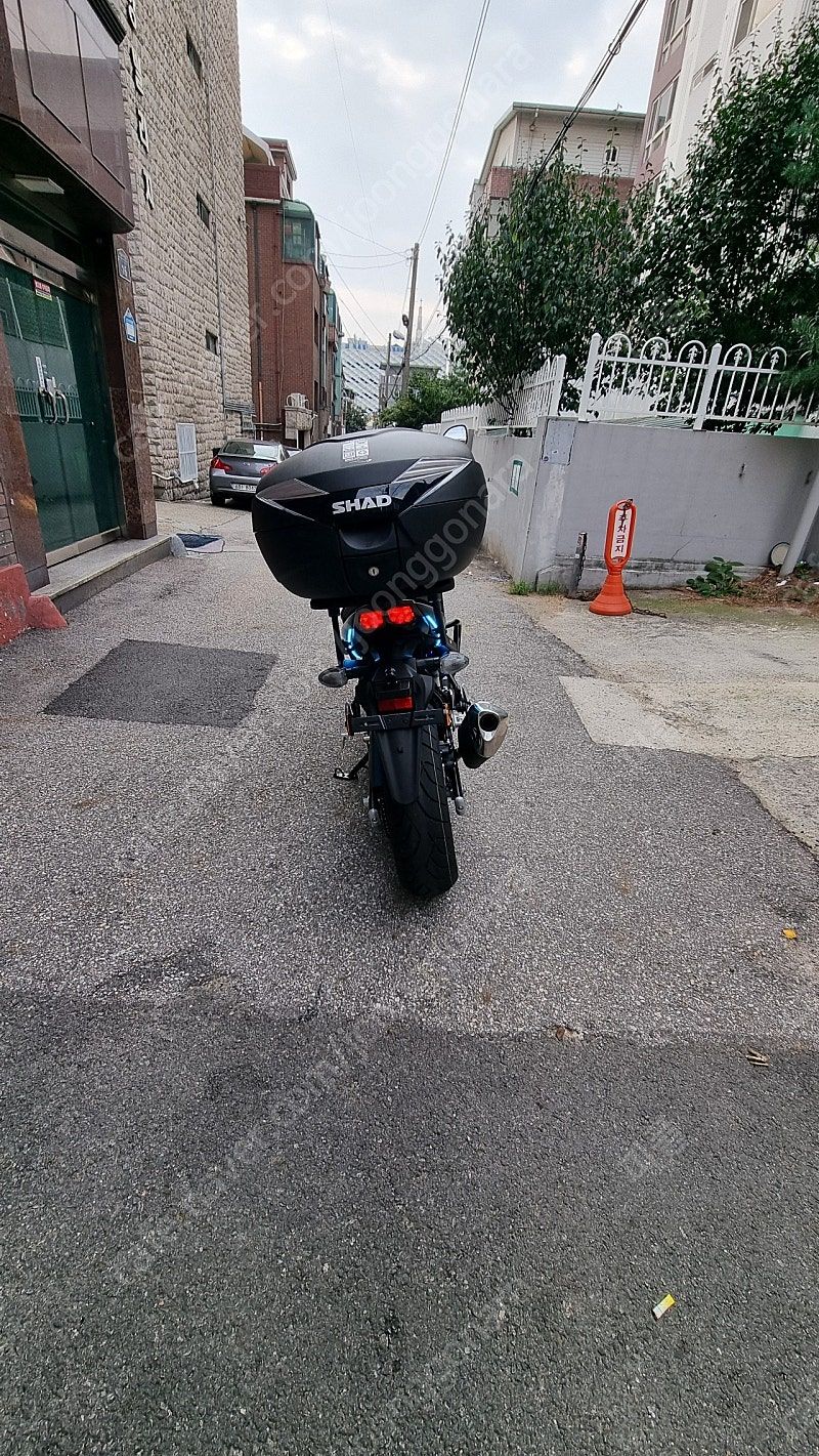 스즈키 SV 650 thumb 2