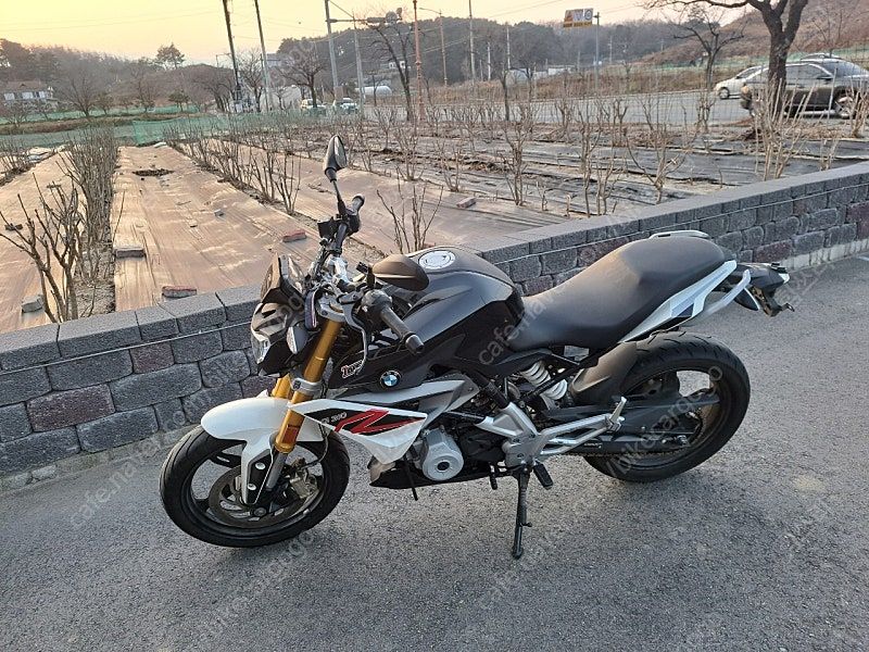 BMW G 310 R main