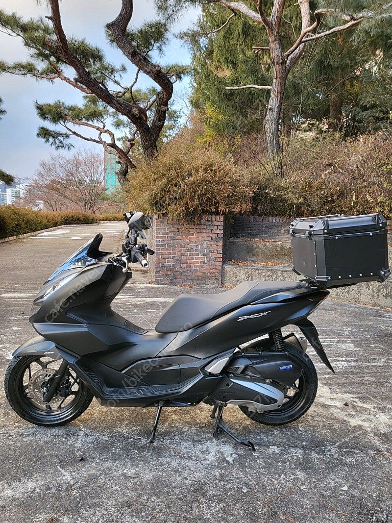 혼다 PCX 125 more