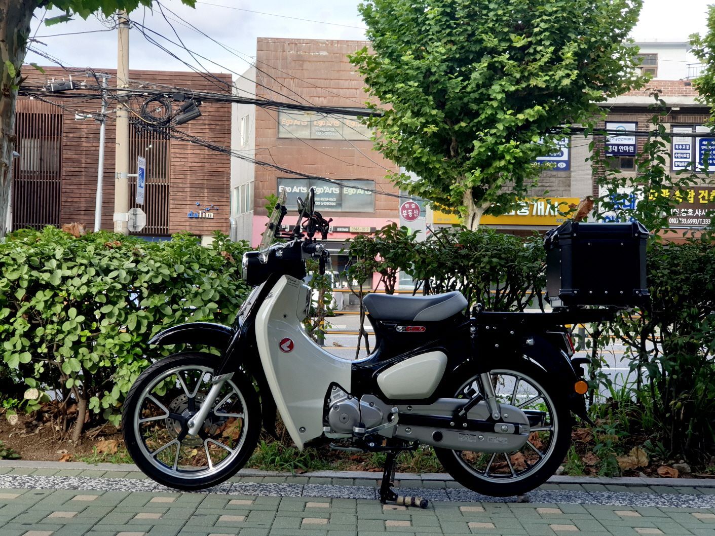 혼다 슈퍼 커브 110 thumb 2