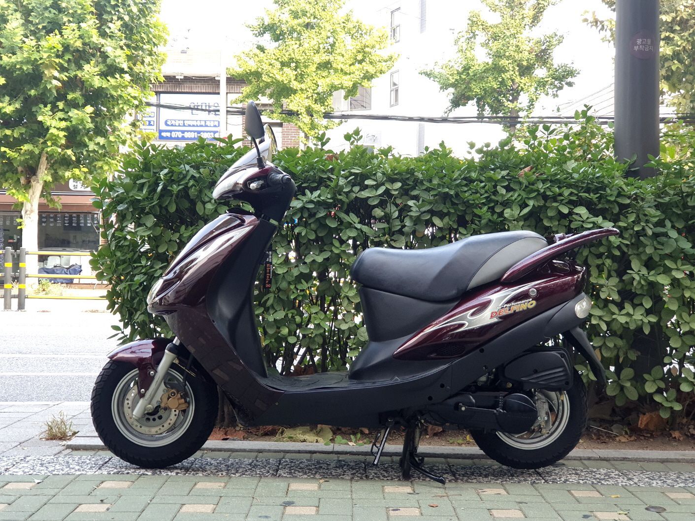 대림 델피노 100 thumb 2