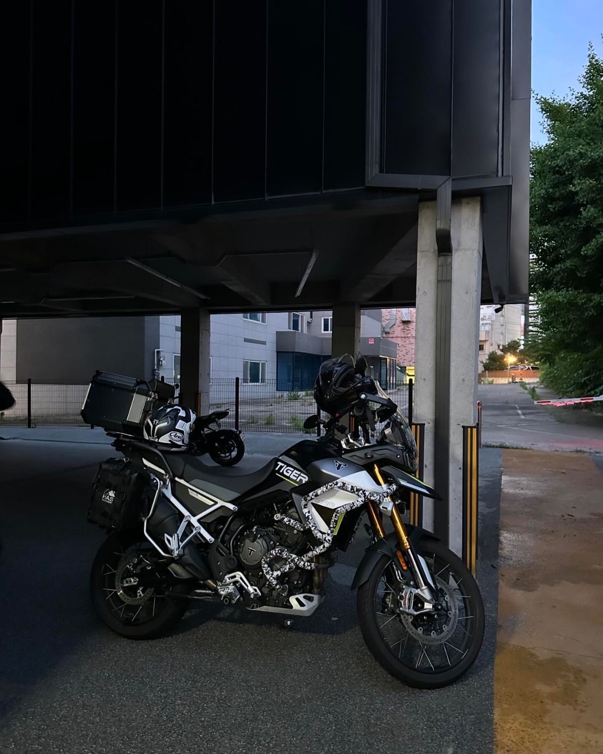 트라이엄프 타이거 900 랠리 프로 main