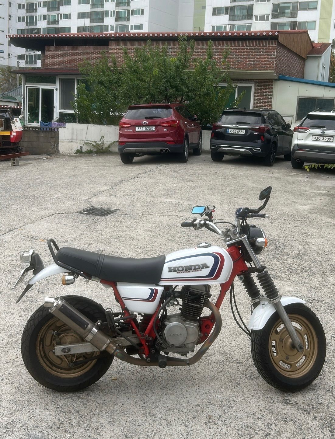 혼다 에이프 100 more