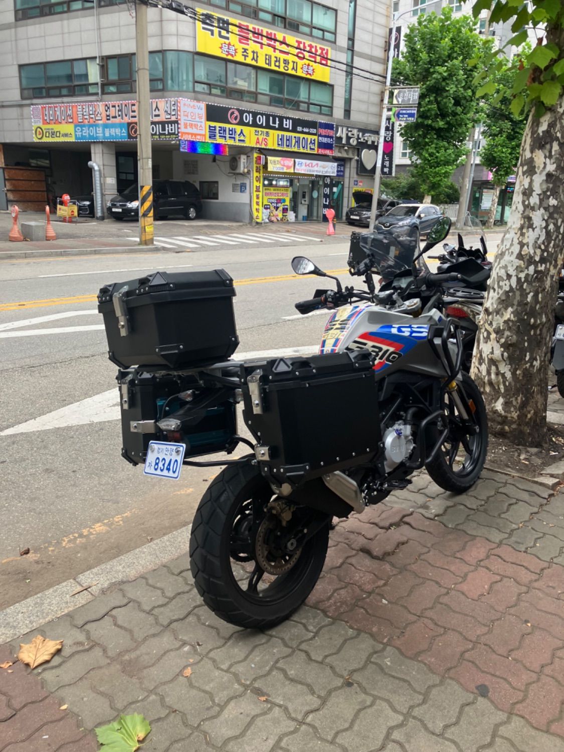 BMW G 310 GS main