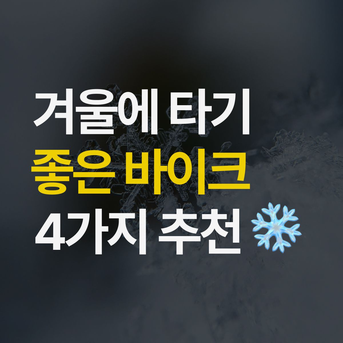 겨울에 타기 좋은 바이크 4가지 추천❄️