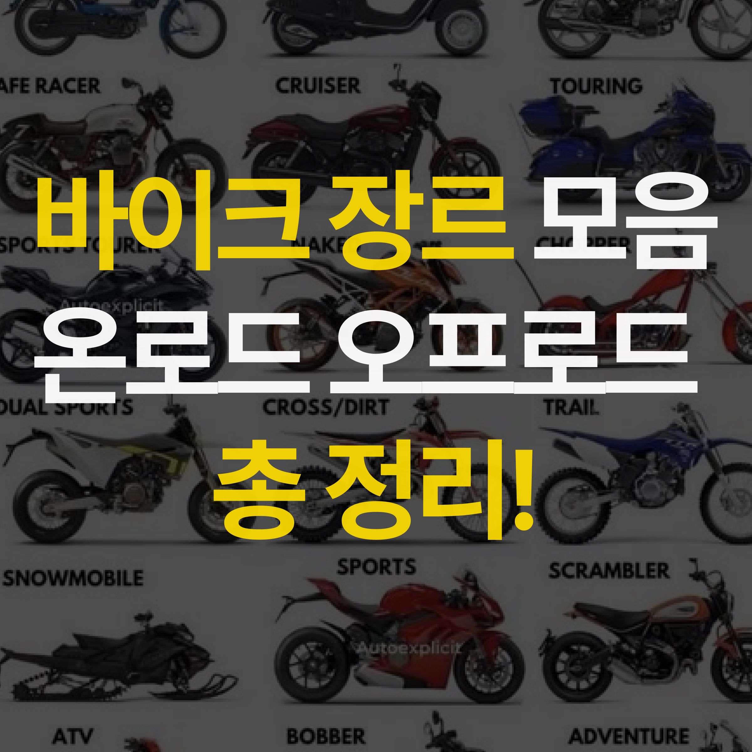게시글이미지