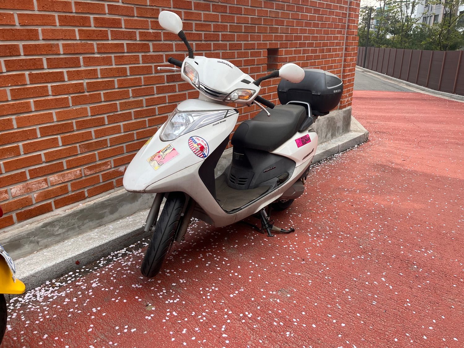 혼다 SCR 110 α main