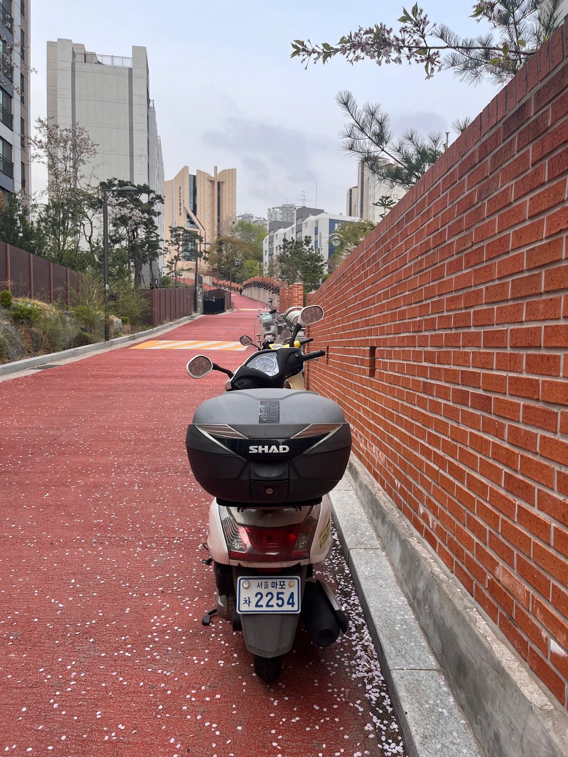 혼다 SCR 110 α thumb 2