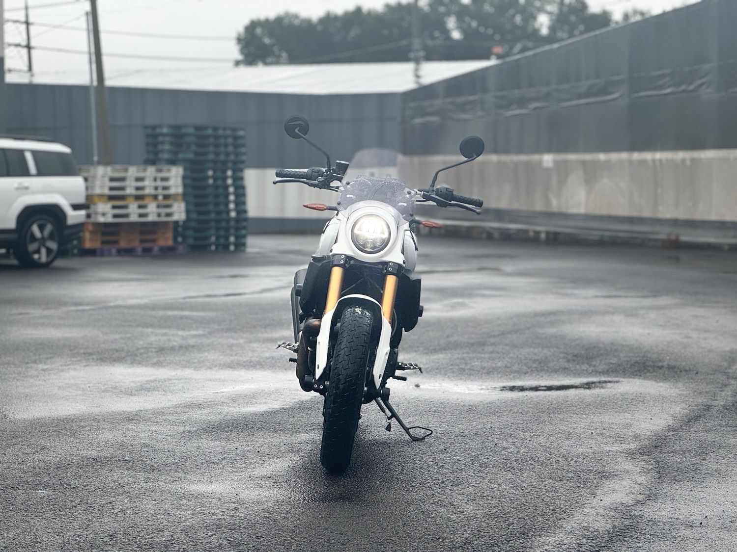 인디언모터사이클 FTR 1200 S 2019 화이트 사진 2