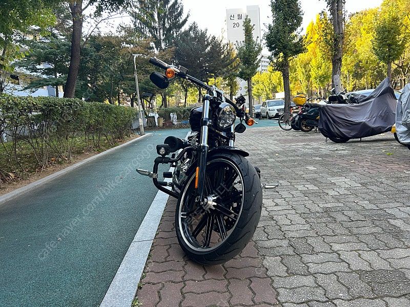 할리데이비슨 브레이크아웃 114 more