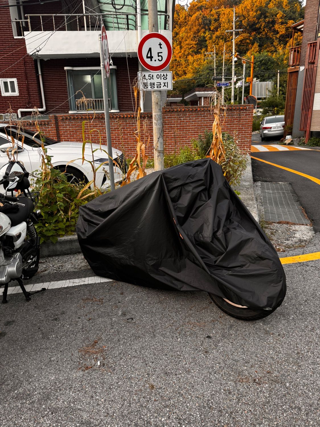 혼다 레블 500 thumb 2