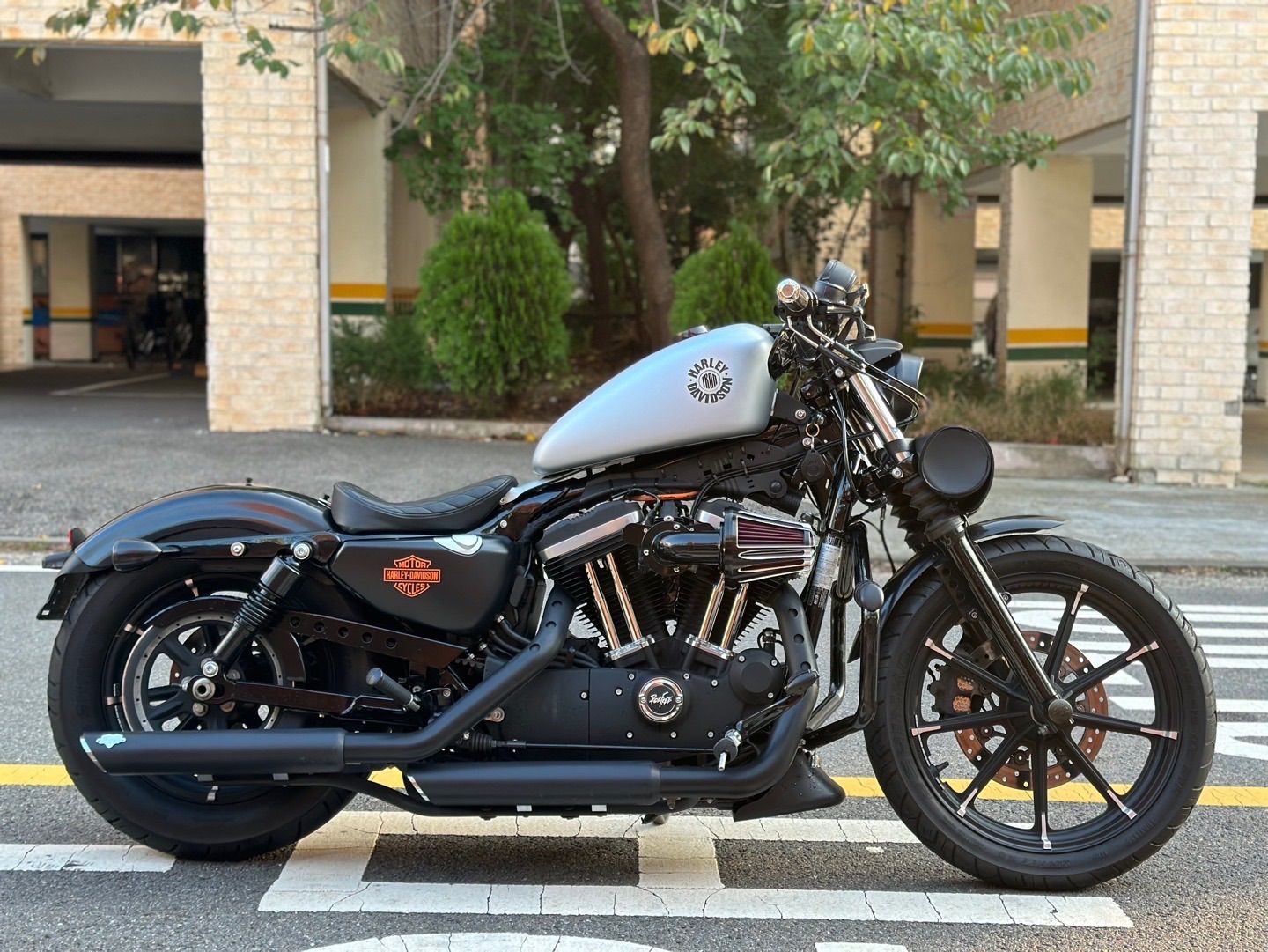 할리데이비슨 아이언 883 more