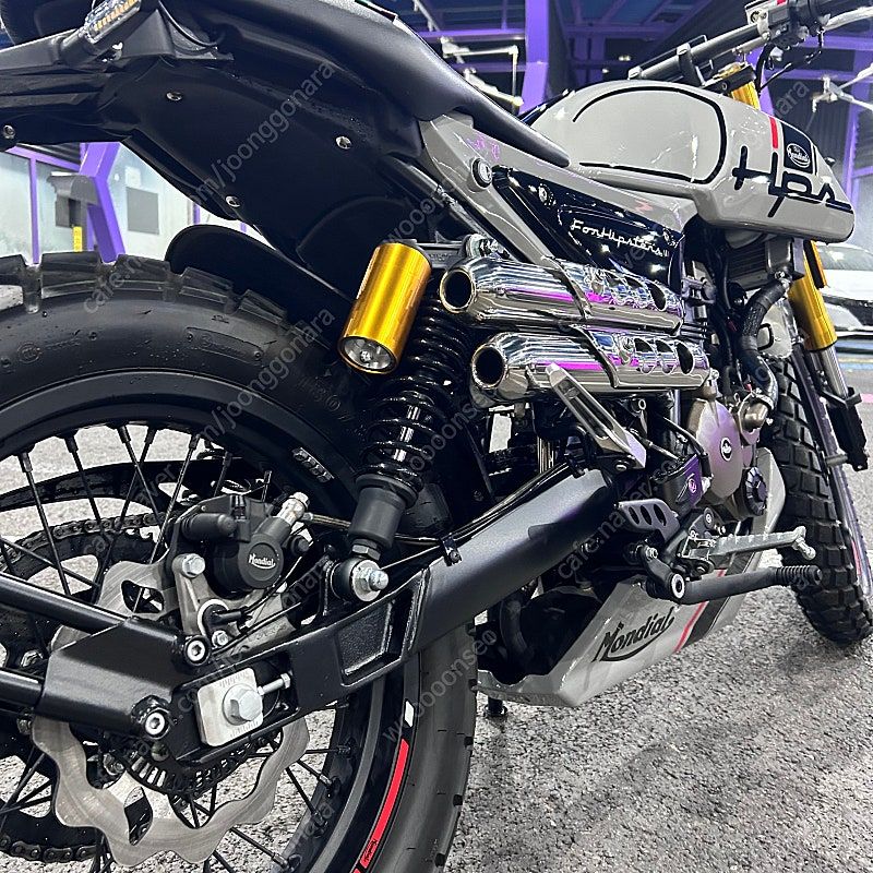 몬디알 힙스터 125 more