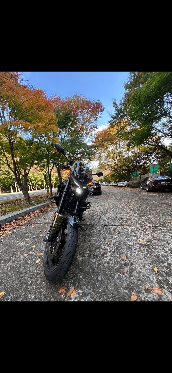 야마하 MT 03 thumb 2