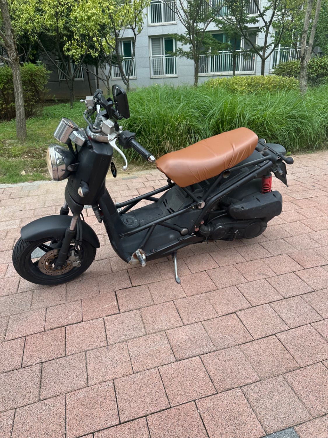 대림 비본 thumb 2