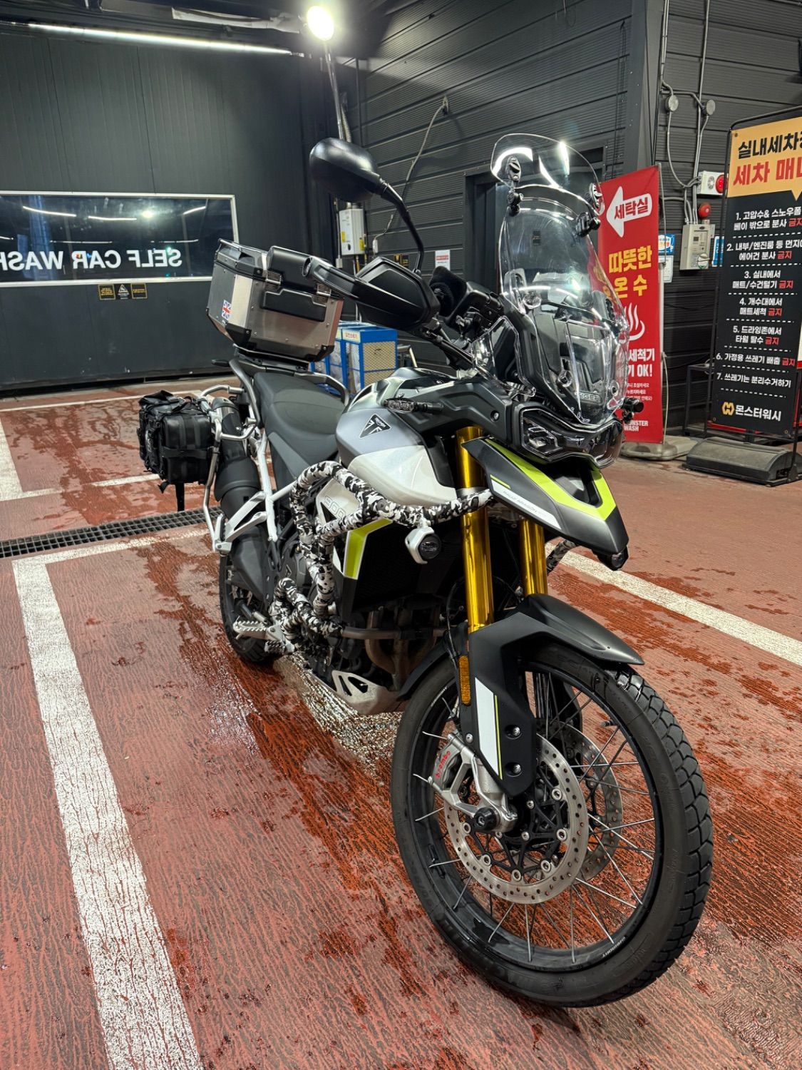 트라이엄프 타이거 900 랠리 프로 thumb 2