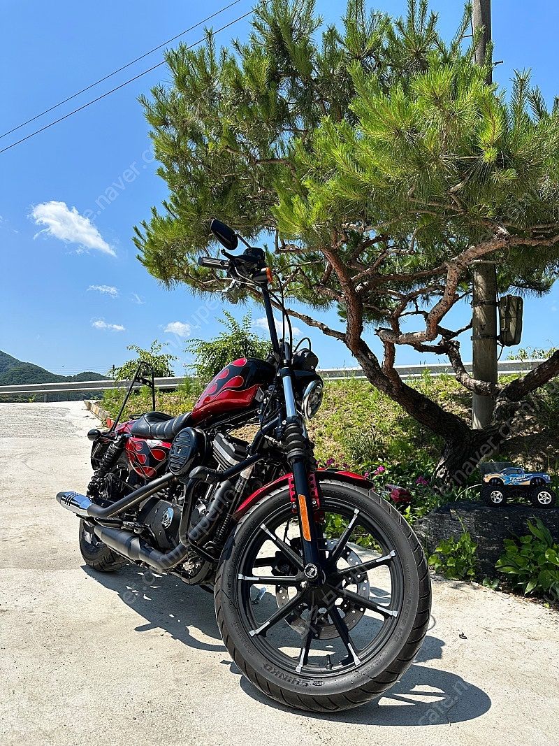 할리데이비슨 아이언 883 thumb 2