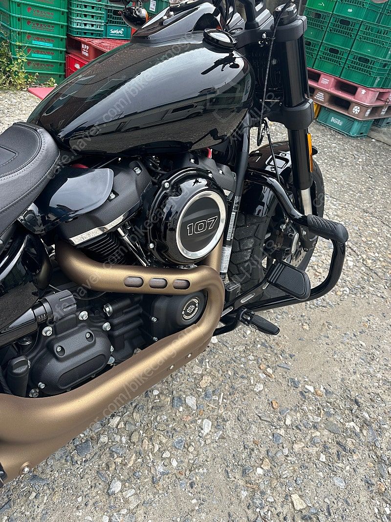 할리데이비슨 팻밥 107 more