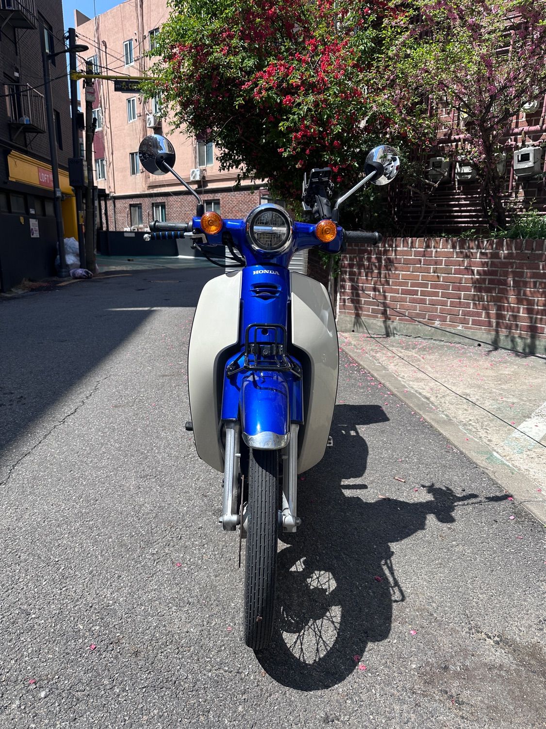 혼다 슈퍼 커브 110 more