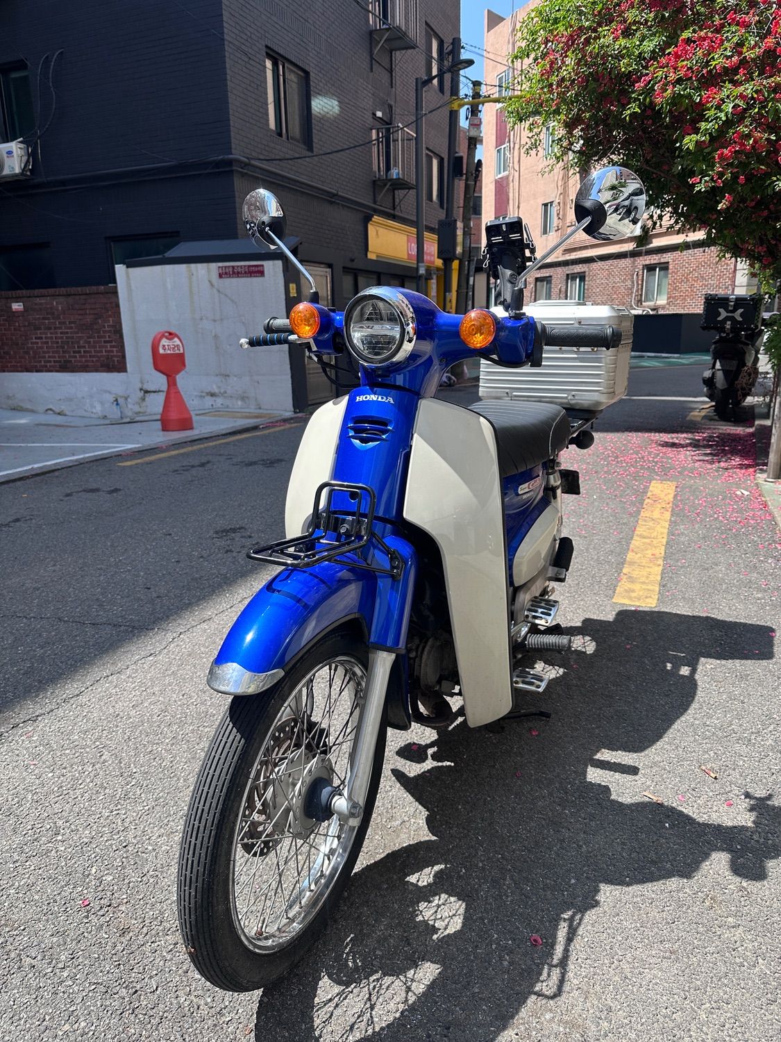 혼다 슈퍼 커브 110 main