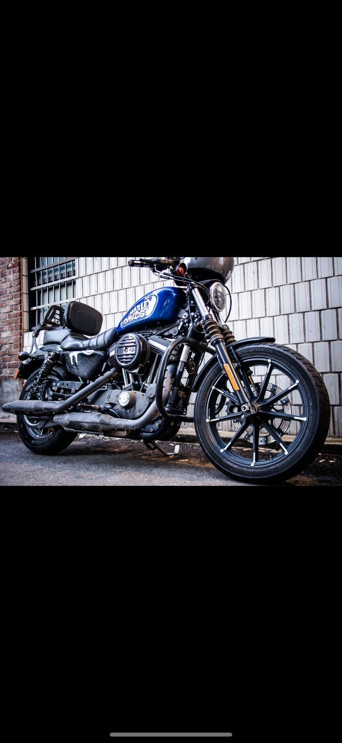 할리데이비슨 아이언 883 thumb 2