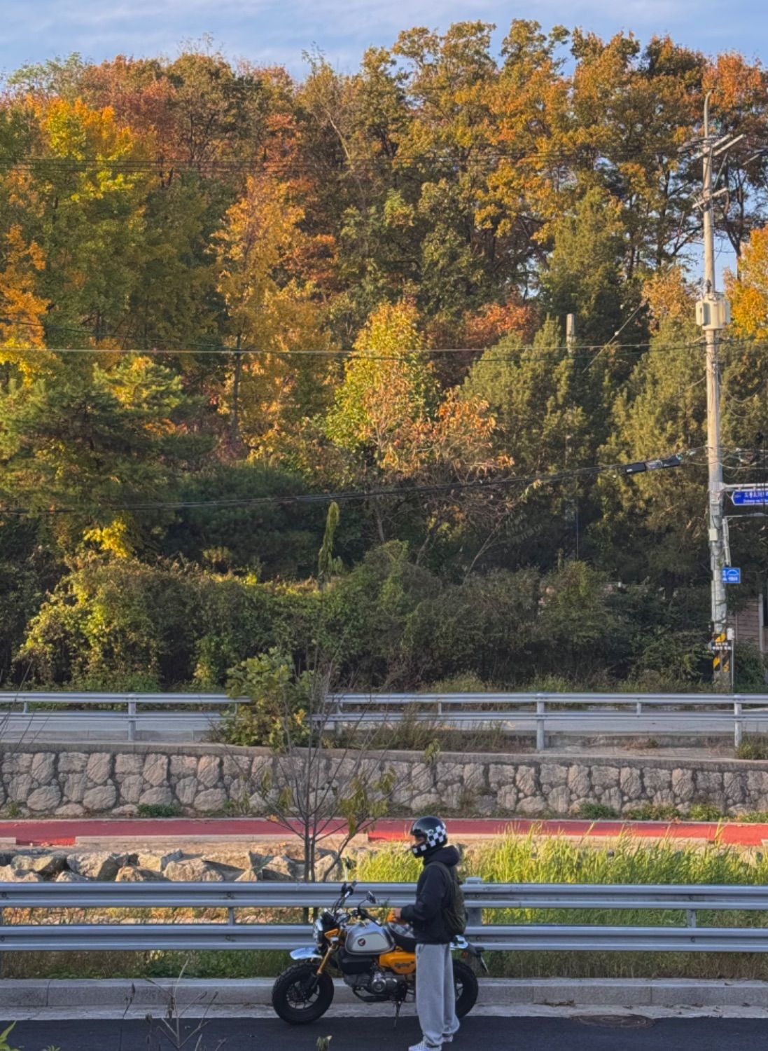 혼다 몽키 125 thumb 2